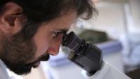 Researcher looking into microscope