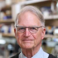 Robert Winchester, MD